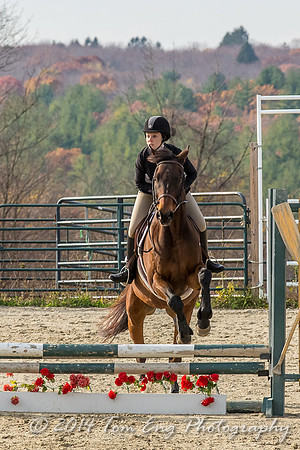 Hillside2014_c6-3