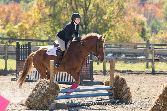 AugustFarm2014-559