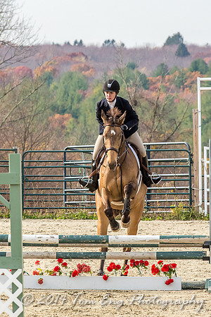 Hillside2014_c8-68