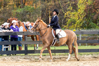 HollyHill2014_Class2-128