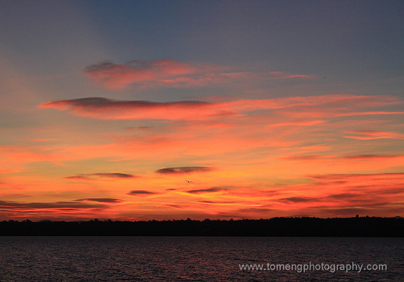 Burlington_007_ed_v1