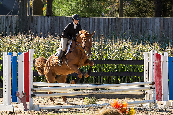 HollyHill2014_CLass8-109