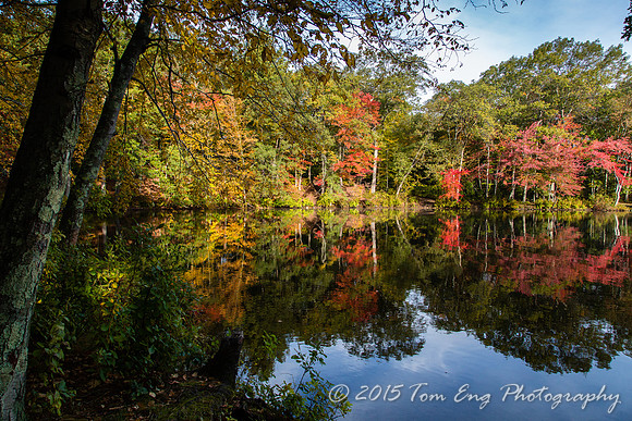 Autumn Reflections 2 - 2015