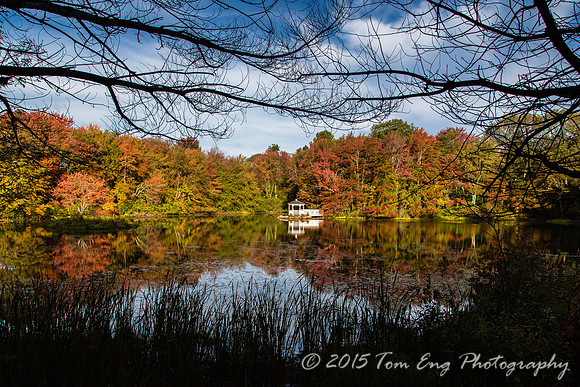 Autumn Reflections 1 -2015