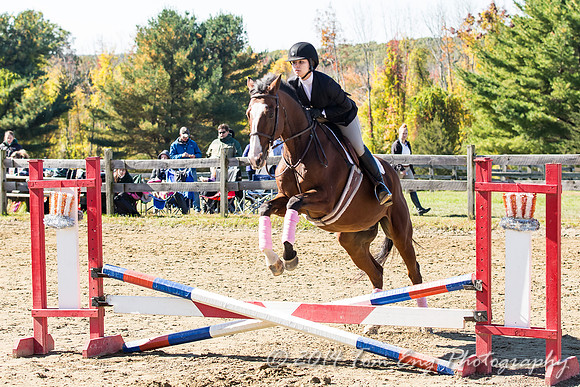 AugustFarm2014-395