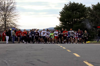 Tree_of_Compassion_5K-113