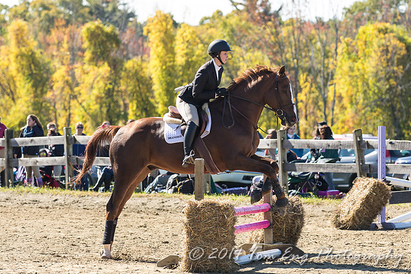 AugustFarm2014-369