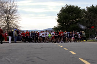 Tree_of_Compassion_5K-111