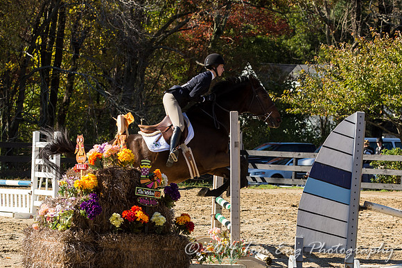 HollyHill2014_CLass8-66