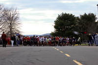 Tree_of_Compassion_5K-108