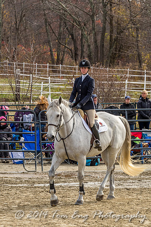 Hillside2014_c7-9