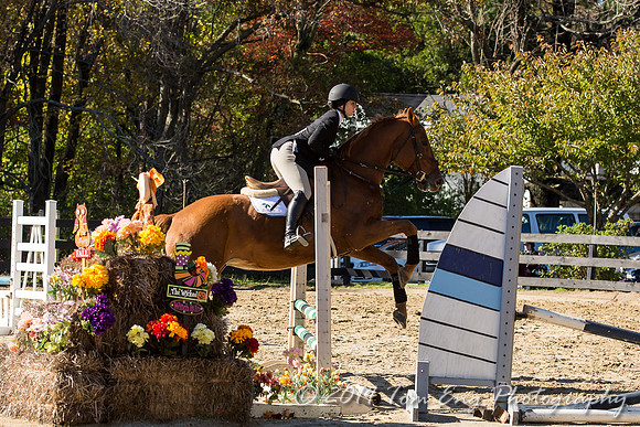 HollyHill2014_CLass8-112