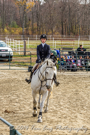 Hillside2014_c7-18