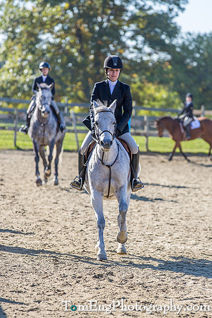 Avery Finkel photos from Open Flat Class 7A at August Farm show 10-15-2016