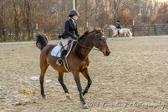 Hillside2014_c2-11