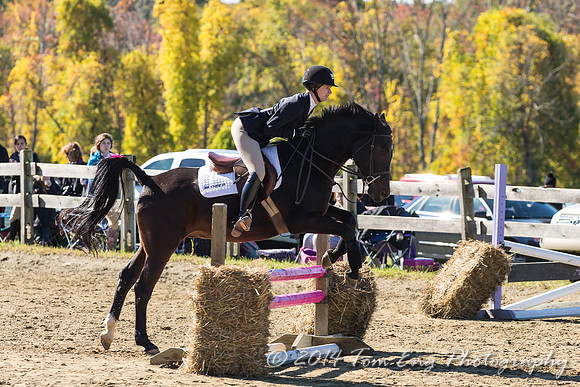 AugustFarm2014-265