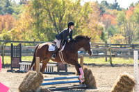 AugustFarm2014-523