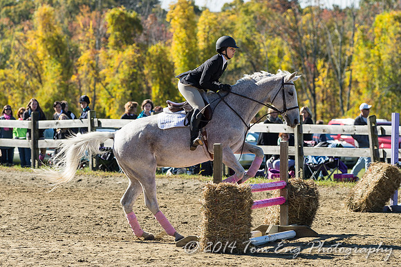 AugustFarm2014-204