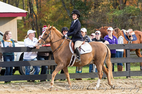 HollyHill2014_Class2-129