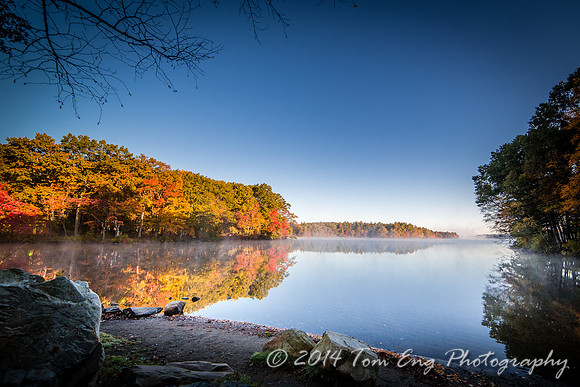 Pond_5D-2-2