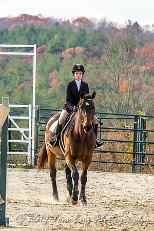 Hillside2014_c5-34