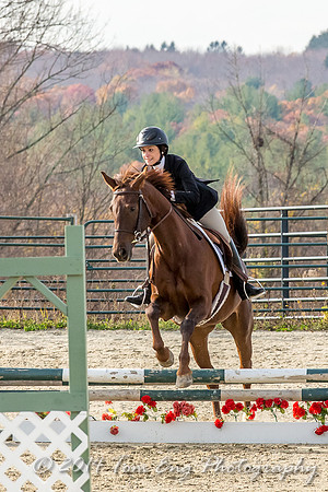 Hillside2014_c6-58
