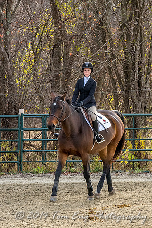 Hillside2014_c5-28