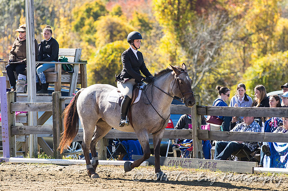 AugustFarm2014-485
